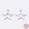 925 Sterling Silver Charms STER-I014-17S-4
