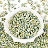 Baking Paint Glass Seed Beads SEED-N008-06H-2