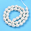 Natural Cultured Freshwater Pearl Beads Strands PEAR-N012-04Y-2