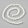 Electroplate Glass Beads Strands EGLA-A034-J10mm-A01-2