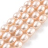 Natural Cultured Freshwater Pearl Beads Strands PEAR-P062-06G-2