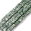 Natural Green Spot Jasper Beads Strands G-G837-24-1