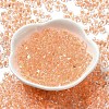 Glass Seed Beads SEED-K009-08A-02-2
