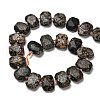Natural Snowflake Obsidian Beads Strands G-H078-B22-01-3