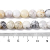 Natural White African Opal Beads Strands G-C179-A35-03-5