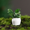 Resin Plant Potted Ornaments PW-WG50997-04-1