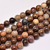 Natural Petrified Wood Round Bead Strands G-F266-08-8mm-1