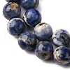 Natural Sodalite Beads Strands G-R015-B01-10mm-4