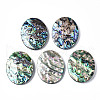 Natural Abalone Shell/Paua Shell Cabochons SSHEL-N034-87-1