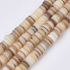 Natural Freshwater Shell Beads Strands X-SHEL-N003-02-2