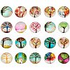 Glass Cabochons GGLA-PH0004-23-1