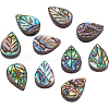 BENECREAT 10Pcs Natural Abalone Shell/Paua Shell Beads SSHEL-BC0001-21-1