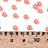 Glass Seed Beads SEED-T007-01E-4