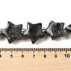 Natural Larvikite Beads Strands G-U023-C01-09-5