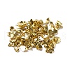 Glass Chip Beads GLAA-C018-01C-3