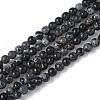 Dyed Natural Regalite/Imperial Jasper/Sea Sediment Jasper Beads Strands G-B124-C05-05-1