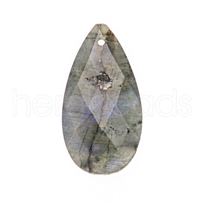 Natural Labradorite Pendants PW-WGD145F-07-1