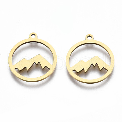 201 Stainless Steel Pendants STAS-Q240-033G-1