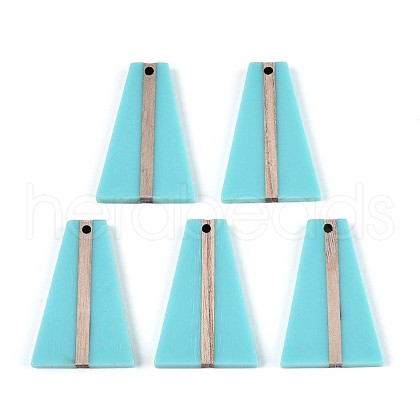 Opaque Resin & Wood Pendants RESI-T057-51A-1