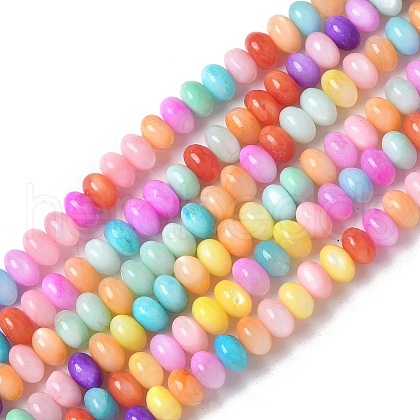 Natural Freshwater Shell Beads Strands SSHEL-C013-08B-1