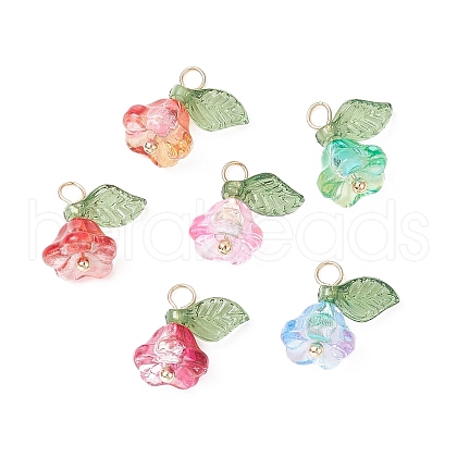 Glass & Acrylic Charms PALLOY-TA00037-1