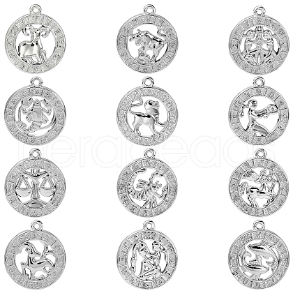 Alloy Pendants FIND-CJC0017-13P-1