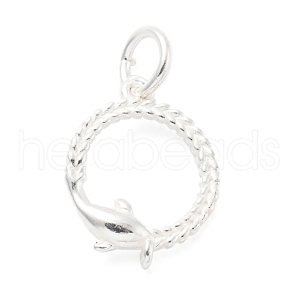 925 Sterling Silver Pendants STER-S009-02C-S-1