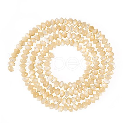 1 Strand Natural Trochus Shell Rondelle Beads Strands SSHEL-TA0001-16B-1