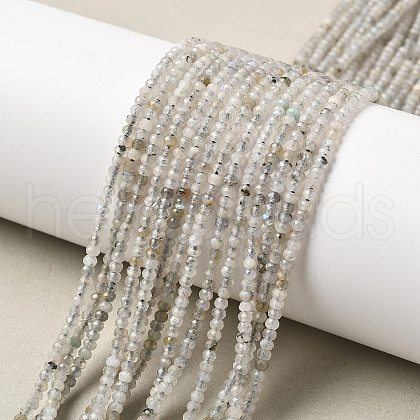 Natural Labradorite Beads Strands G-RM241221-O5-1