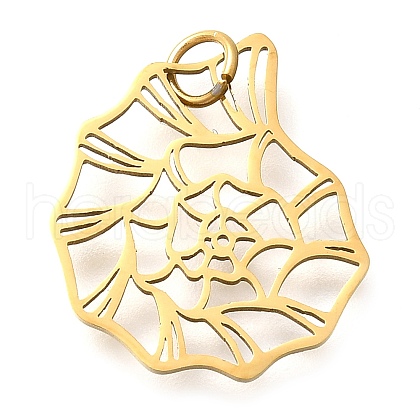 304 Stainless Steel Pendants STAS-Z119-15G-1