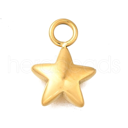 304 Stainless Steel Charms STAS-R159-22G-1