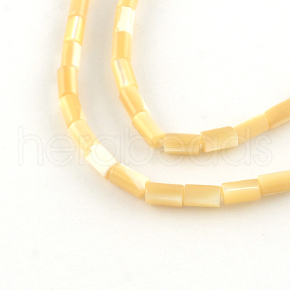 Column Natural Trochid Shell/Trochus Shell Beads Strands SSHEL-F290-27-1