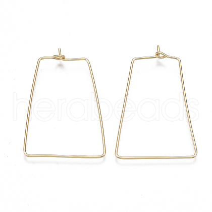 Brass Earring Hooks X-KK-T038-425G-1