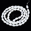 Natural Trochid Shell/Trochus Shell Beads Strands SSHEL-N034-94A-B01-2