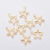 304 Stainless Steel Charms STAS-L234-095G-1