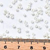 Glass Seed Beads SEED-S060-A-F207-5