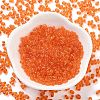 Glass Seed Beads SEED-A033-03A-01-4