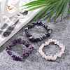 Chips Natural Mixed Stone Stretch Bracelets X-BJEW-JB05642-4