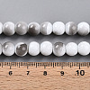Baking Painted Glass Beads Strands DGLA-N013-8mm-01-4
