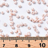 Glass Seed Beads SEED-S060-A-F407-5
