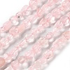 Natural Rose Quartz Beads Strands G-P497-01C-61-1