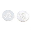 Natural Freshwater Shell Charms SHEL-N027-10D-3