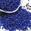 Glass Seed Beads X1-SEED-S042-04A-14-1