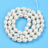 Natural Cultured Freshwater Pearl Beads Strands PEAR-N012-05Z-3