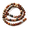 Natural Picture Jasper Beads Strands G-S390-07-6mm-3