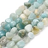 Natural Flower Amazonite Beads Strands G-P568-C18-01-2