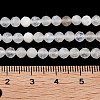 Natural Rainbow Moonstone Beads Strands G-P500-01C-01A-4