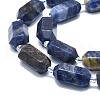 Natural Sodalite Beads Strands G-F715-060-3