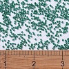 MIYUKI Delica Beads SEED-X0054-DB0656-4