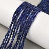 Natural Sodalite Beads Strands G-D306-A01-2mm-A-1